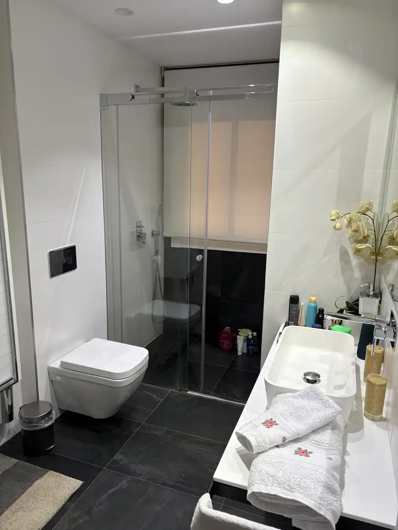 Piso en venta en Calle de Julio Palacios, 13, La Paz Baño de Piso en venta en Madrid Capital con Aire acondicionado, Terraza y Piscina
