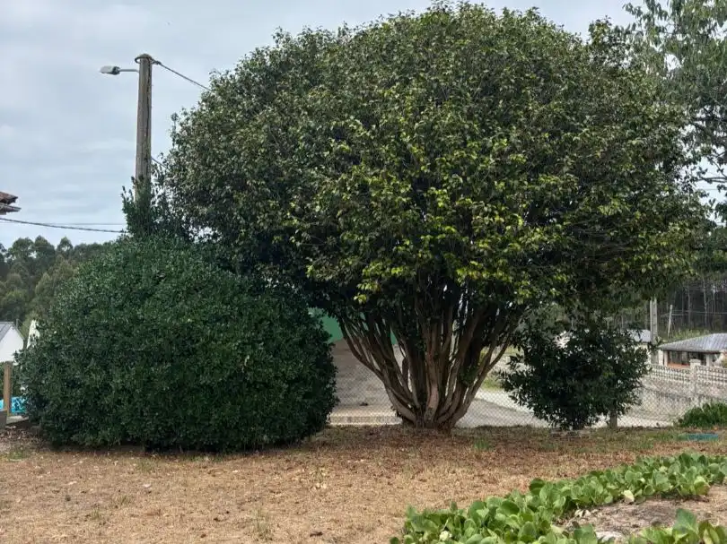 Piso en venta en Parque Vilaestrofe, 33, Cervo Piso en venta en Cervo