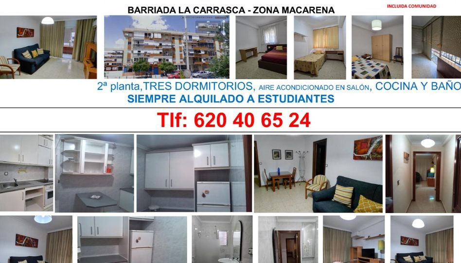 Piso de alquiler en Calle Calle Doctor Antonio Herrera Carmona, 1, El Torrejón - El Cerezo, Sevilla Capital - imagen 1 Foto 1 de Piso de alquiler en Calle Calle Doctor Antonio Herrera Carmona, 1, El Torrejón - El Cerezo, Sevilla Capital