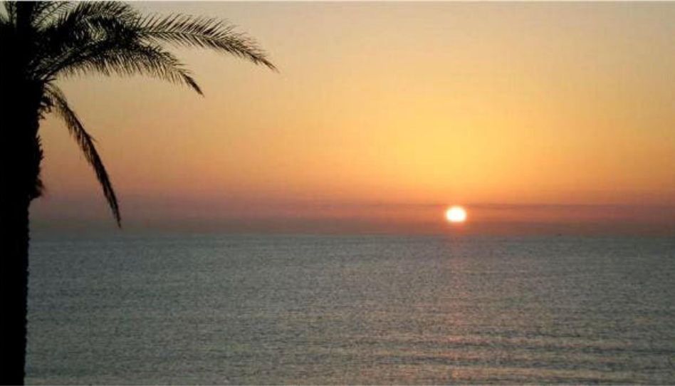 Apartament de lloguer a Playa Muchavista, El Campello - imatge 1 Foto 1 de Apartament de lloguer a Playa Muchavista, El Campello