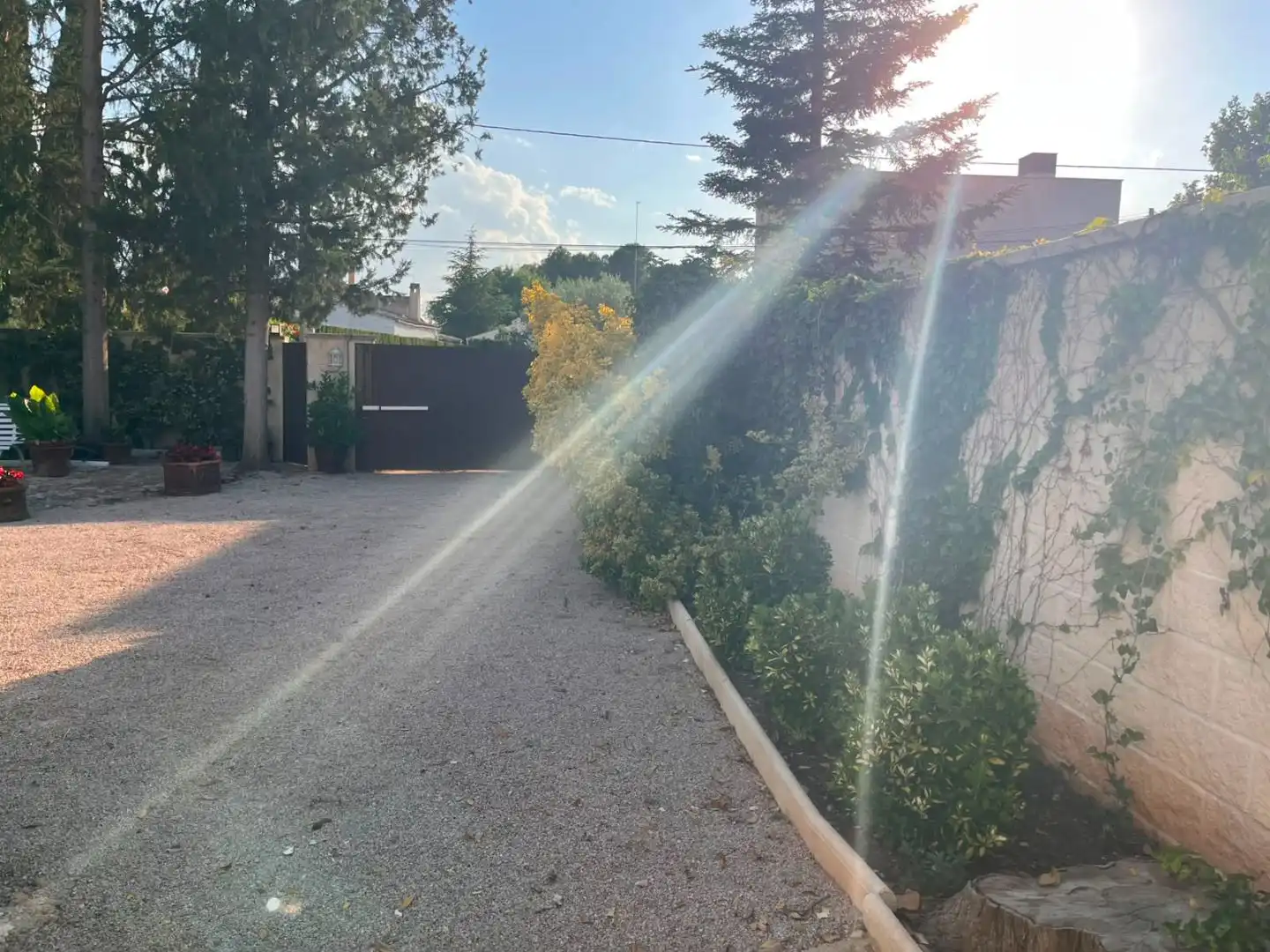 Piso en venta en Pedanías - Extrarradio Jardín de Piso en venta en Albacete con Jardín privado, Terraza y Piscina