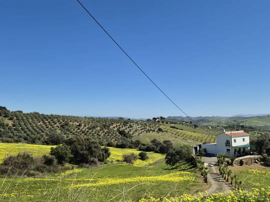 Country homes for rent in Diseminado Caicunes, 12, Casarabonela Exterior view of Country homes for rent in Casarabonela with Private garden, Terrace and Furnished