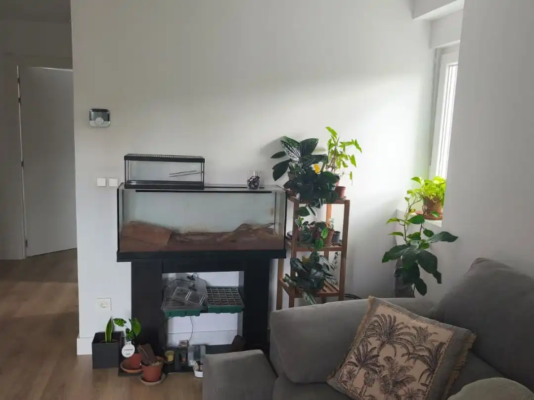 Wohnung zum Verkauf in Barrio de Olaberria Derecha, 14, Lapice - Larreaundi - Olaberria - Meaka Wohnung zum Verkauf in Barrio de Olaberria Derecha, 14, Lapice - Larreaundi - Olaberria - Meaka