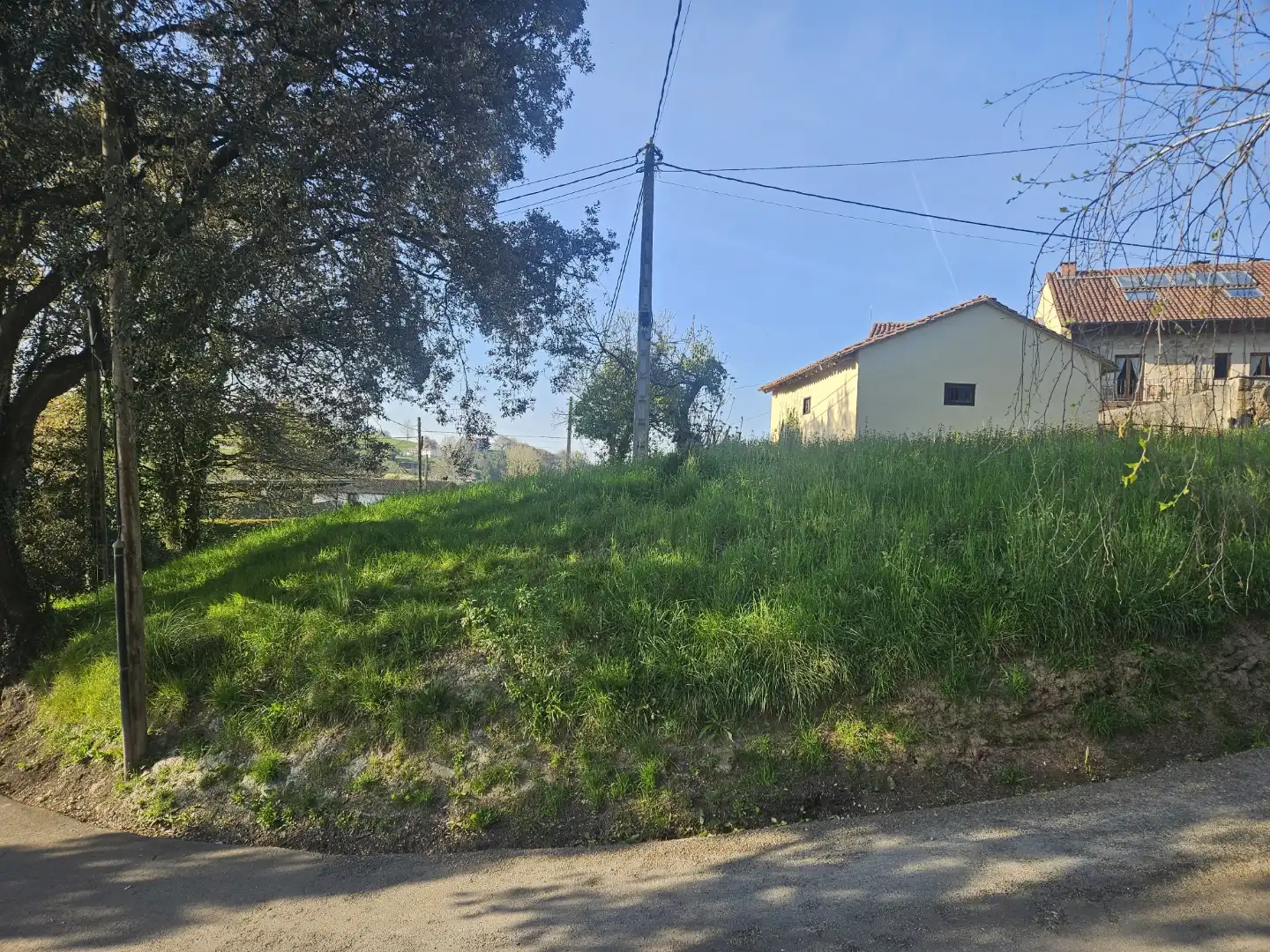 Detached homes for sale in Polanco
