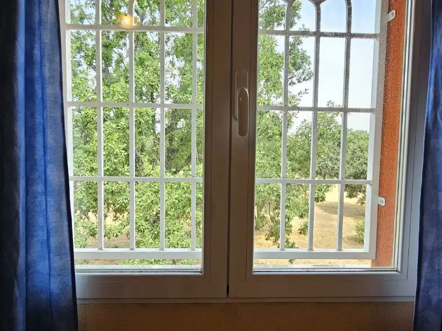 Casa o chalet en venta en Camino del Cruce, 325, Fresno de Cantespino Vista exterior de Casa o chalet en venta en Fresno de Cantespino con Jardín privado y Terraza