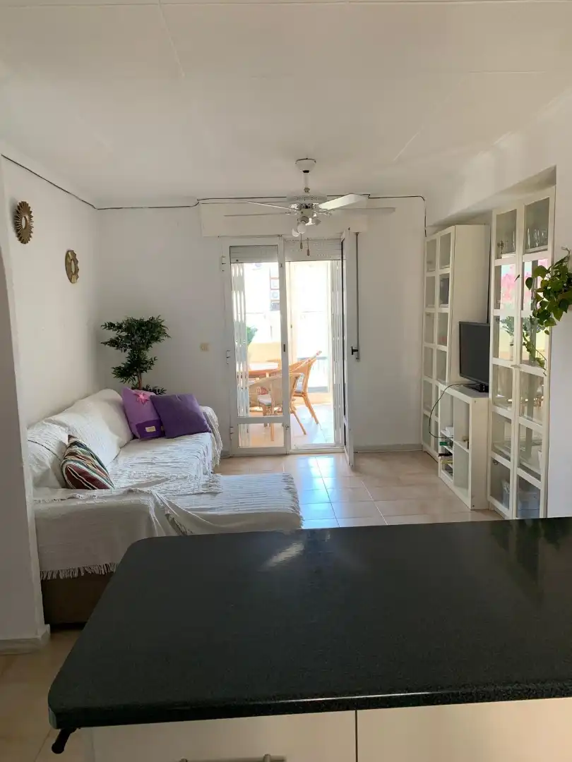 Pis de lloguer a Calle Sevilla, 82, Carolinas Bajas Sala d'estar de Pis de lloguer en Alicante / Alacant amb Aire condicionat, Jardí privat i Terrassa