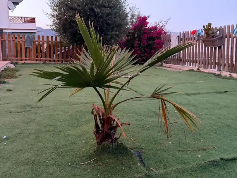Jardín de Casa o chalet en venta en Bigues i Riells del Fai con Aire acondicionado, Terraza y Balcón