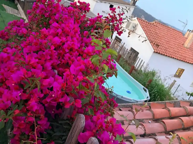 Jardín de Casa o chalet en venta en Bigues i Riells del Fai con Aire acondicionado, Terraza y Balcón