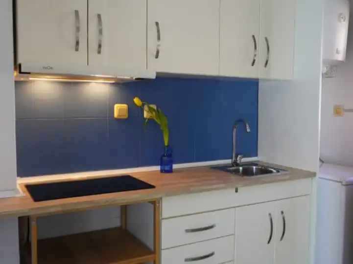 Kitchen of Apartments for rent in Torrevieja  with Furnished and Balcony