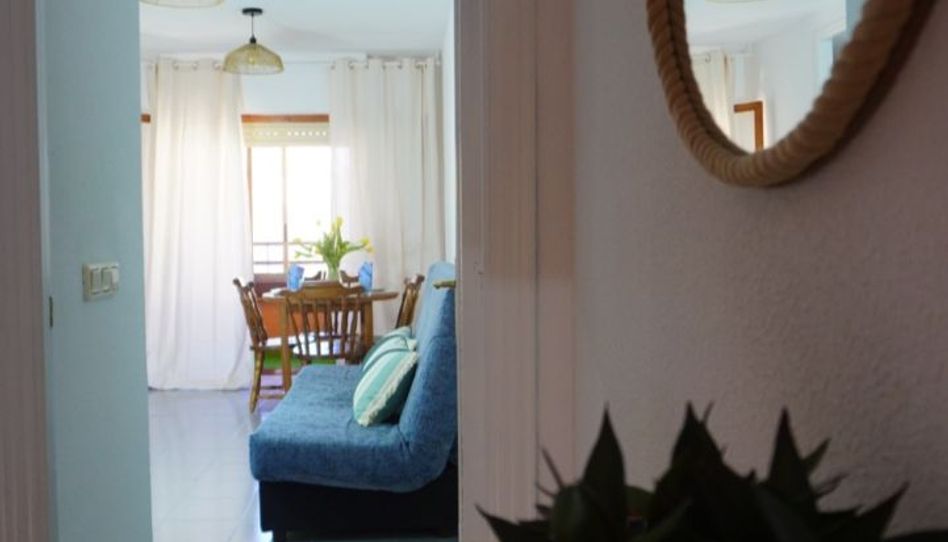 Apartament de lloguer a Calle Urbano Arregui, 23, El Acequión, Torrevieja - imatge 1 Foto 1 de Apartament de lloguer a Calle Urbano Arregui, 23, El Acequión, Torrevieja