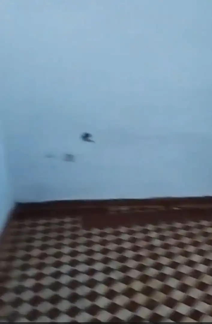 Piso en venta en Aldea las Delgadas, 63, Zalamea la Real Vista exterior de Piso en venta en Zalamea la Real