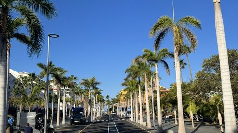 Estudio de alquiler en Avenida las Américas, 2, Playa de las Américas, Arona - imagen 2 Foto 2 de Estudio de alquiler en Avenida las Américas, 2, Playa de las Américas, Arona