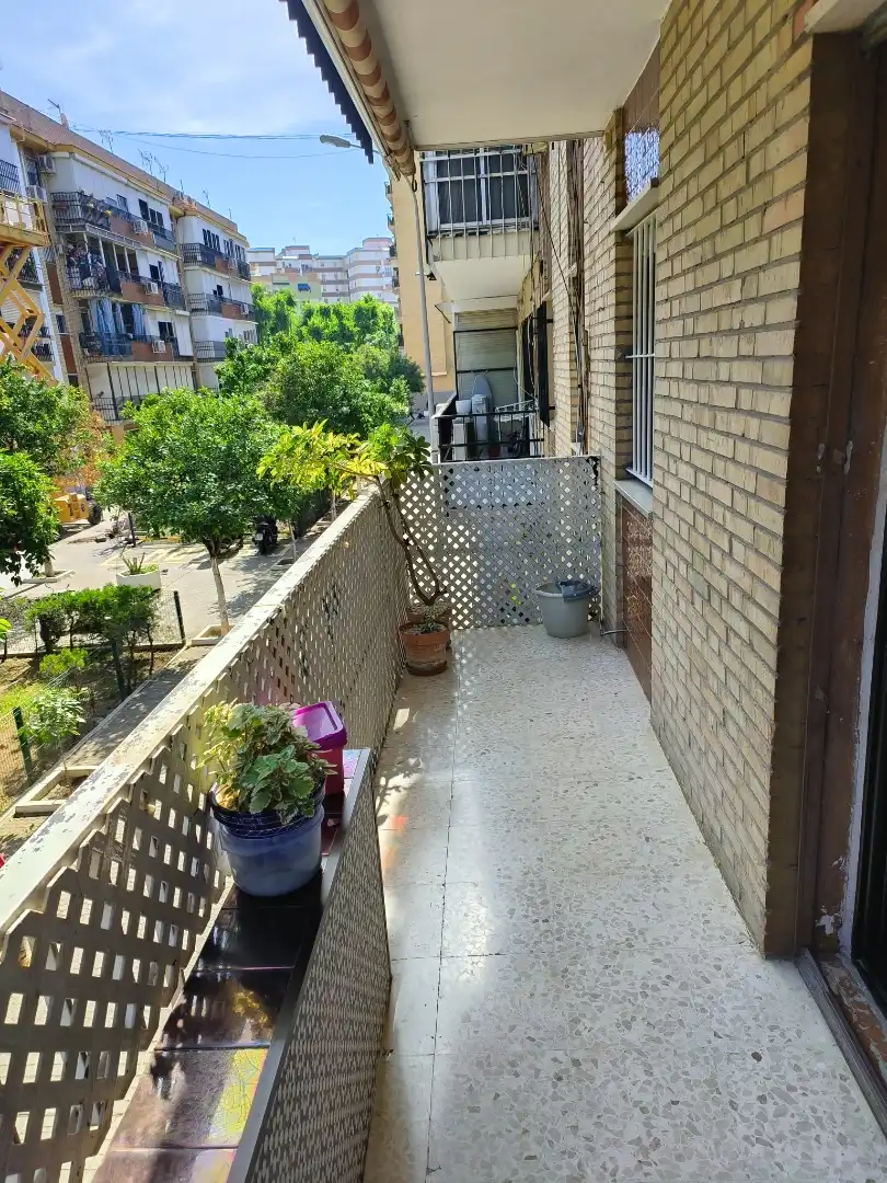 Pis en venda a Calle Doctor Antonio Herrera Carmona, 1, El Torrejón - El Cerezo Terrassa de Pis en venda en Sevilla amb Aire condicionat, Terrassa i Forn