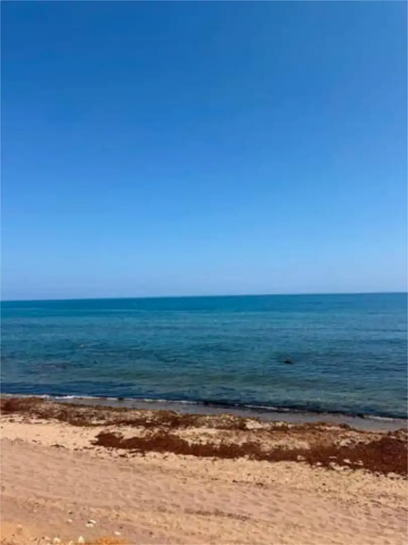Room in Calahonda - Carchuna Apartments for share in Motril with Private garden, Terrace and Furnished