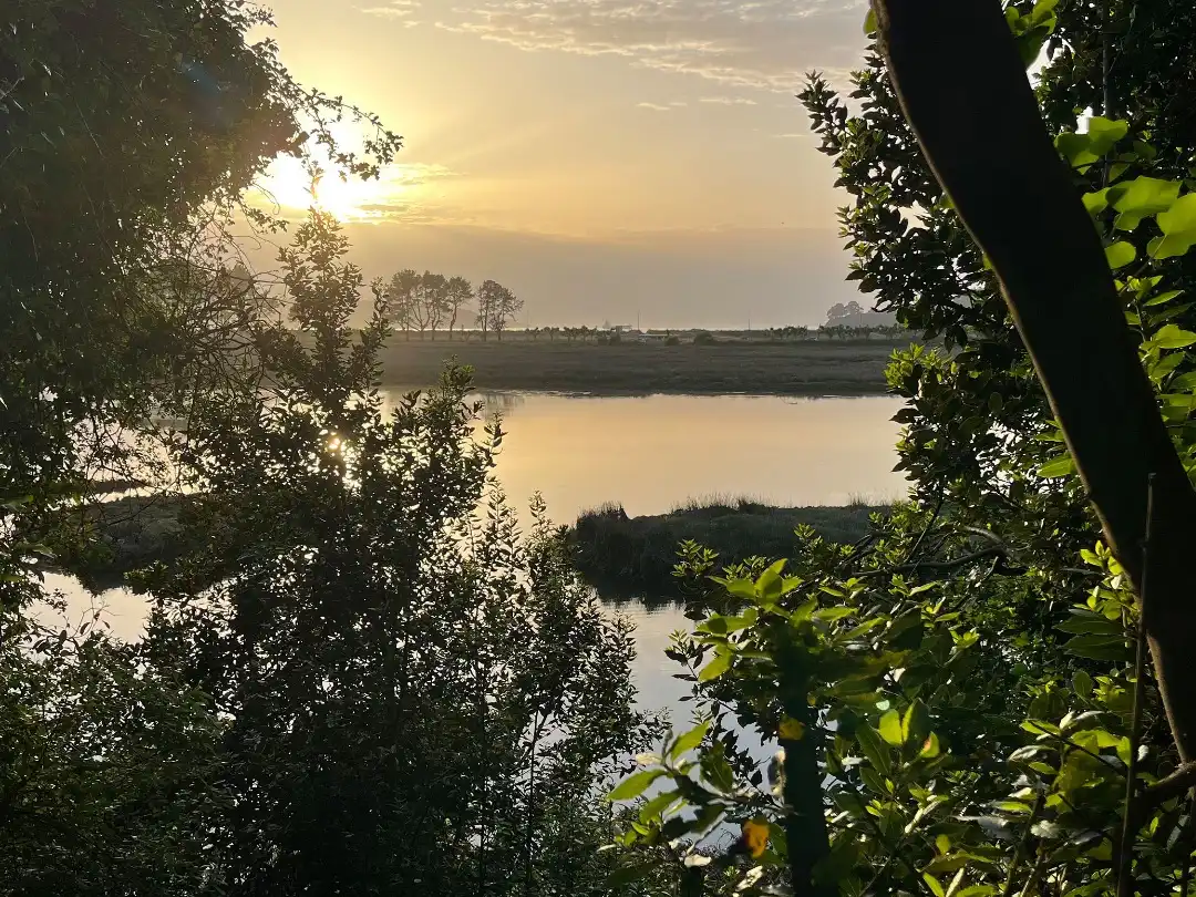 Casa o chalet en venta en Río Bañobre, 4, Miño Casa o chalet en venta en Río Bañobre, 4, Miño