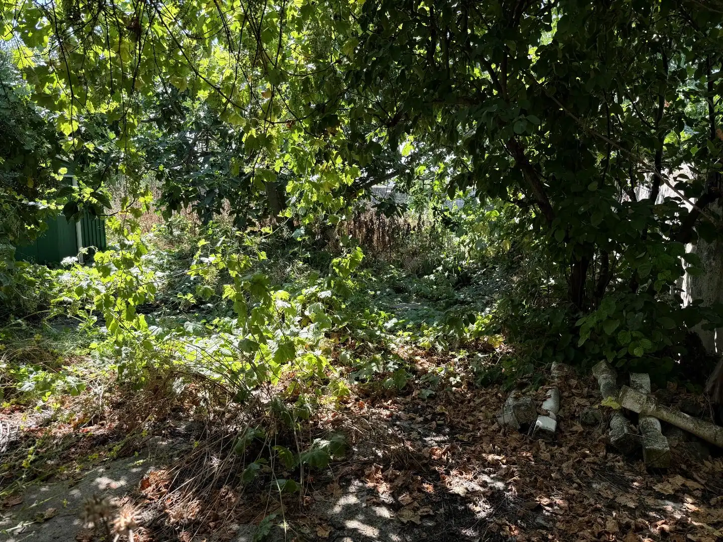 Finca rústica en venta en Plaza Mayor, 1, Calera y Chozas Finca rústica en venta en Calera y Chozas