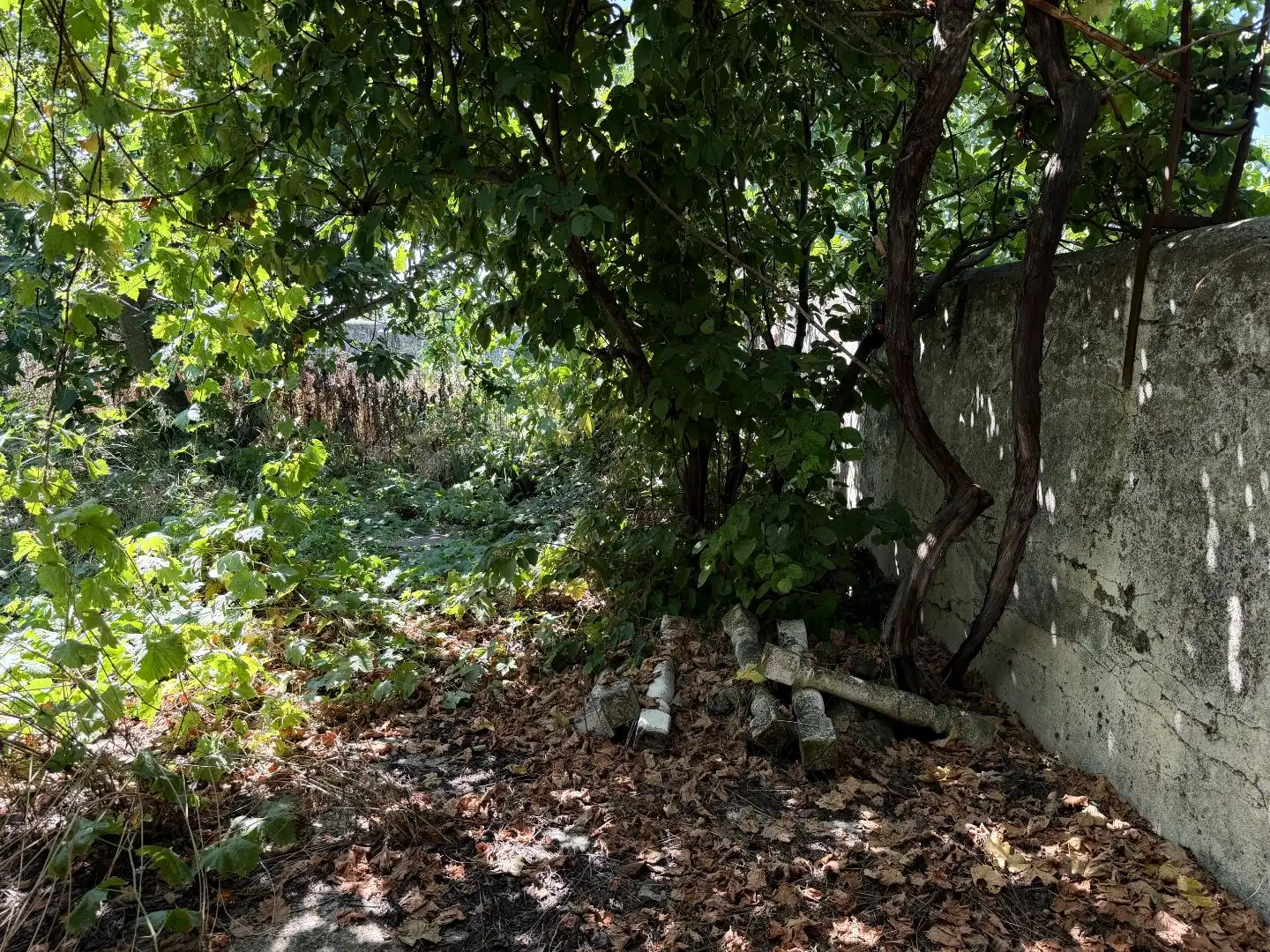 Finca rústica en venta en Plaza Mayor, 1, Calera y Chozas Finca rústica en venta en Calera y Chozas