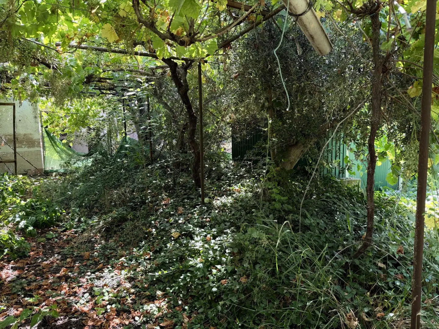 Finca rústica en venta en Plaza Mayor, 1, Calera y Chozas Jardín de Finca rústica en venta en Calera y Chozas