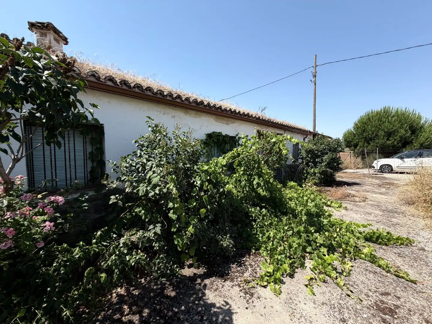 Finca rústica en venta en Plaza Mayor, 1, Calera y Chozas Vista exterior de Finca rústica en venta en Calera y Chozas