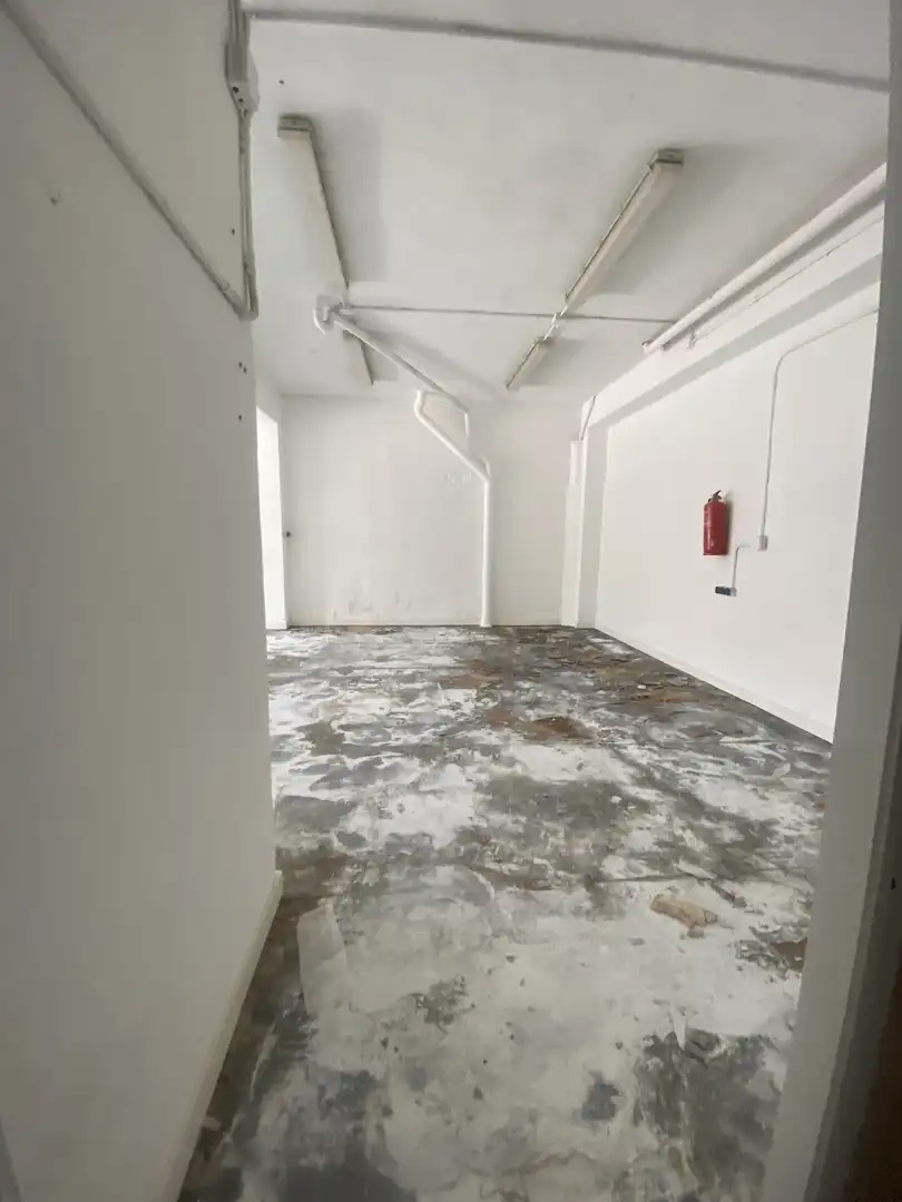 Commercial properties for rent in  Palma de Mallorca