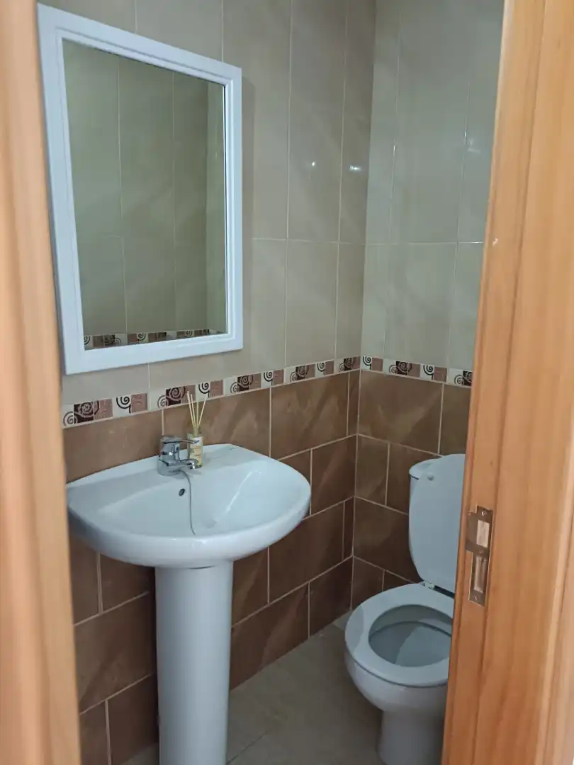Duplexes for sale in Calle Barranquillo Hondo, 15, La Aldea de San Nicolás Bathroom of Duplexes for sale in La Aldea de San Nicolás with Storage room