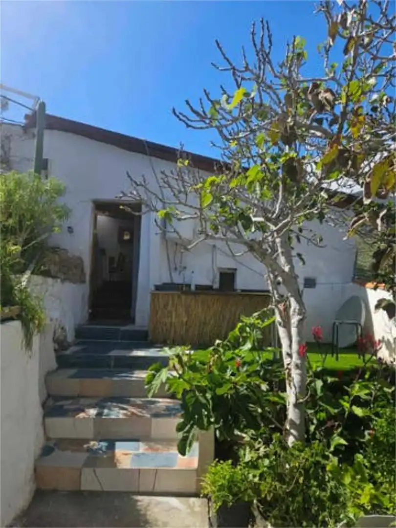 Garden of Apartments for rent in Santa Cruz de Tenerife  with Private garden, Terrace and Furnished