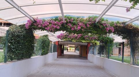 Piso en venta en San Pablo, Sevilla Capital - imagen 3 Foto 3 de Piso en venta en San Pablo, Sevilla Capital