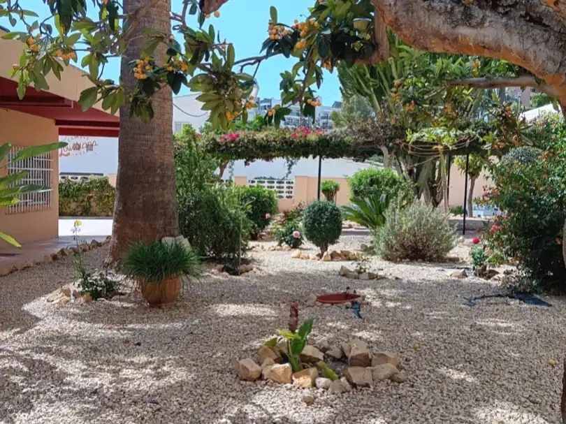 Pis en venda a Avenida de Panamá, 1, Foietes Jardí de Pis en venda en Benidorm amb Terrassa