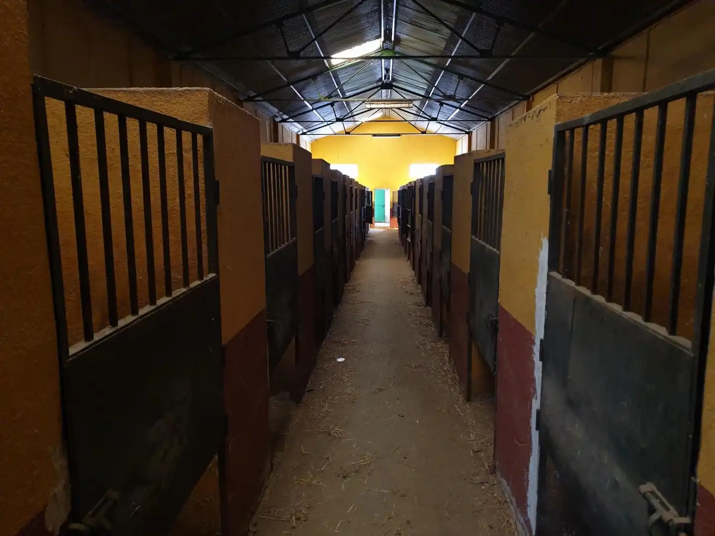 Finca rústica en venda a Urbanización las Encinas, 12a, San Roque - La Cruz - La Rozuela Finca rústica en venda en Linares amb Aire condicionat, Terrassa i Piscina