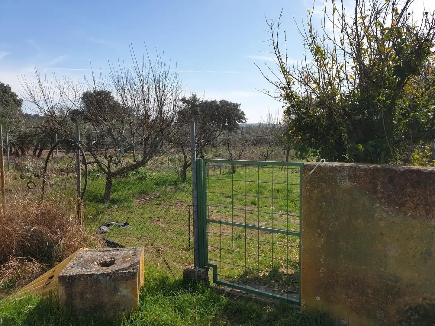 Finca rústica en venda a Urbanización las Encinas, 12a, San Roque - La Cruz - La Rozuela Finca rústica en venda en Linares amb Aire condicionat, Terrassa i Piscina