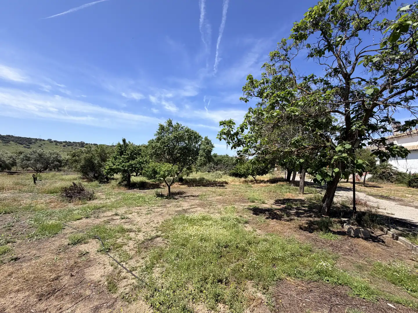 Finca rústica en venda a Urbanización las Encinas, 12a, San Roque - La Cruz - La Rozuela Finca rústica en venda en Linares amb Aire condicionat, Terrassa i Piscina