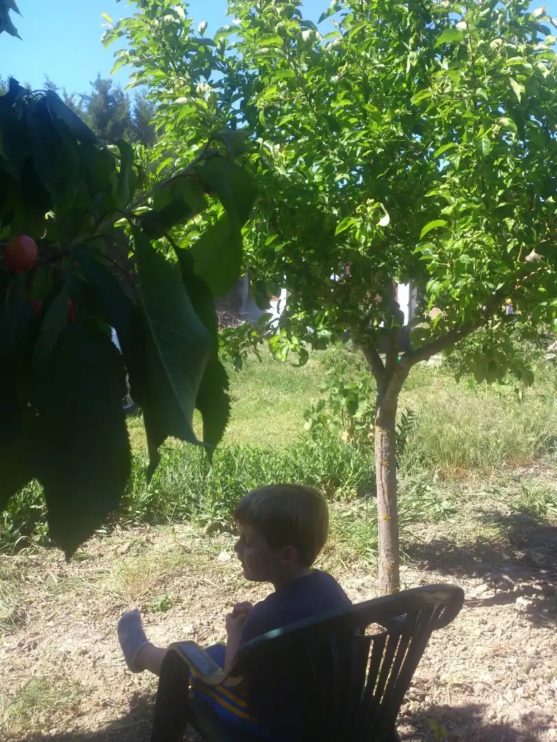 Finca rústica en venda a Carretera de la Parrilla, 29, Tudela de Duero Jardí de Finca rústica en venda en Tudela de Duero