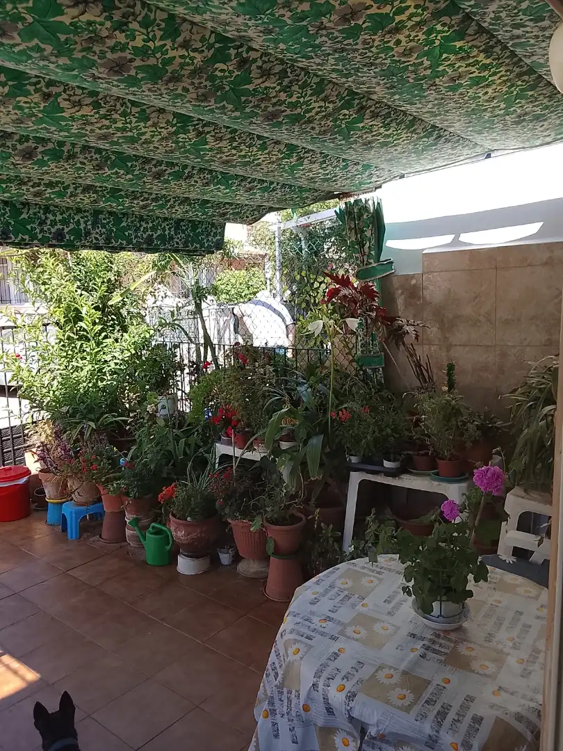 Casa adosada en venda a Calle Crucero Canarias, 44, Los Cuarteros Jardí de Casa adosada en venda en San Pedro del Pinatar