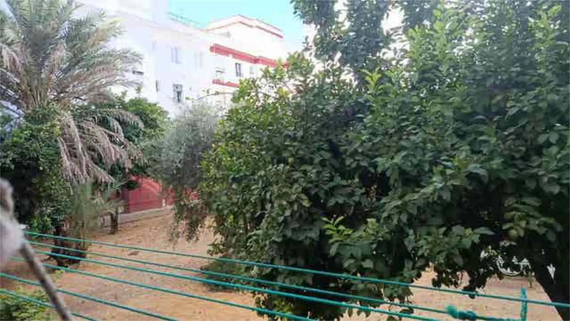 Piso en venta en Sector Sur - La Palmera - Reina Mercedes Piso en venta en Sevilla