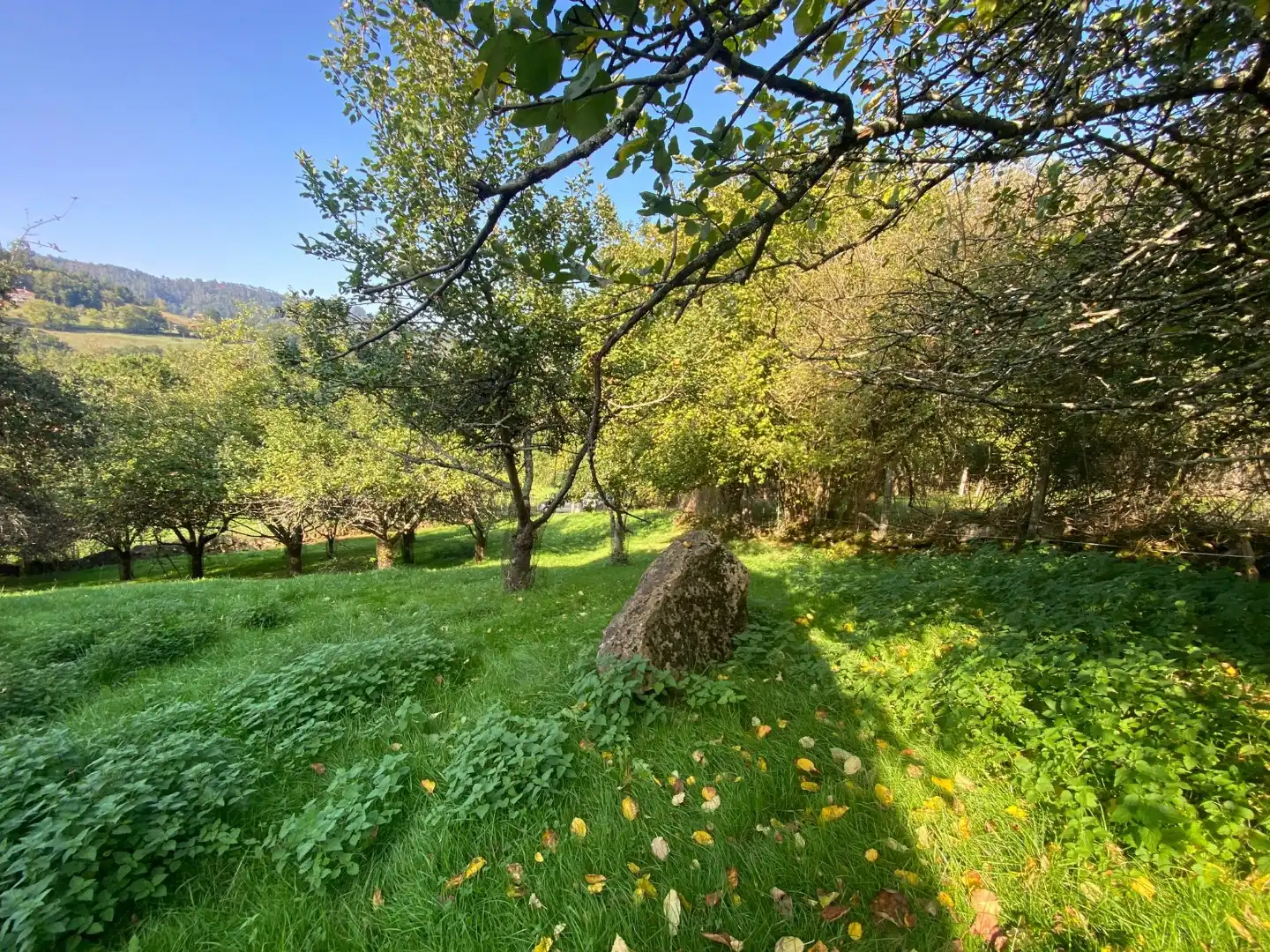 Piso en venta en Piloña