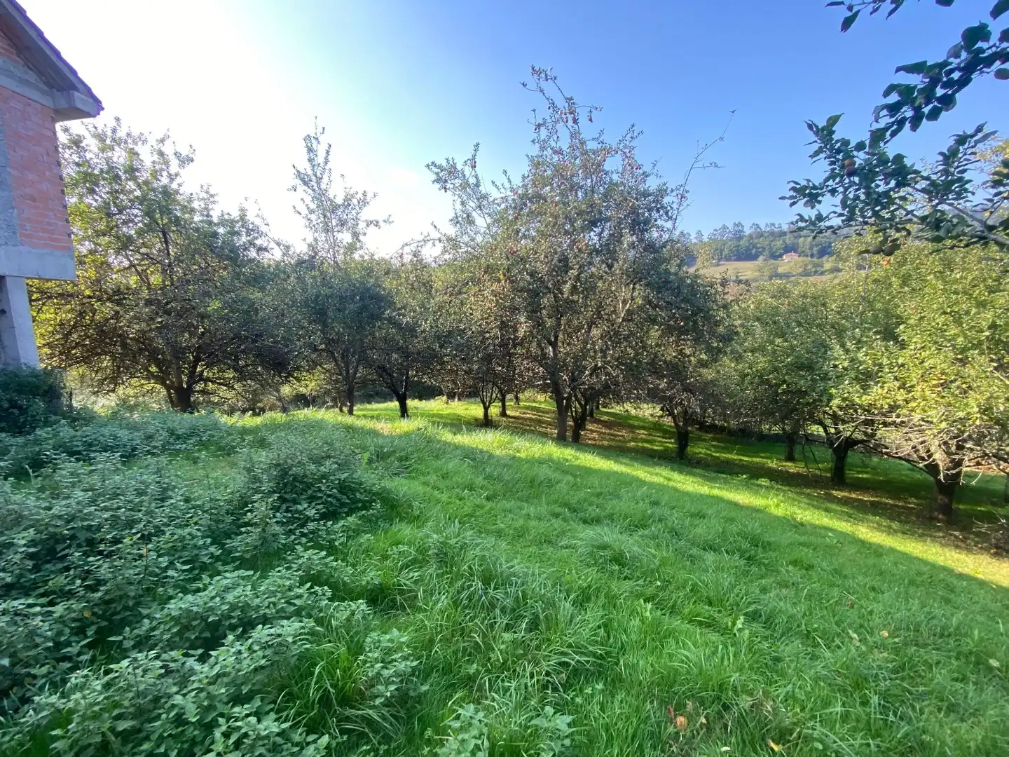 Piso en venta en Piloña