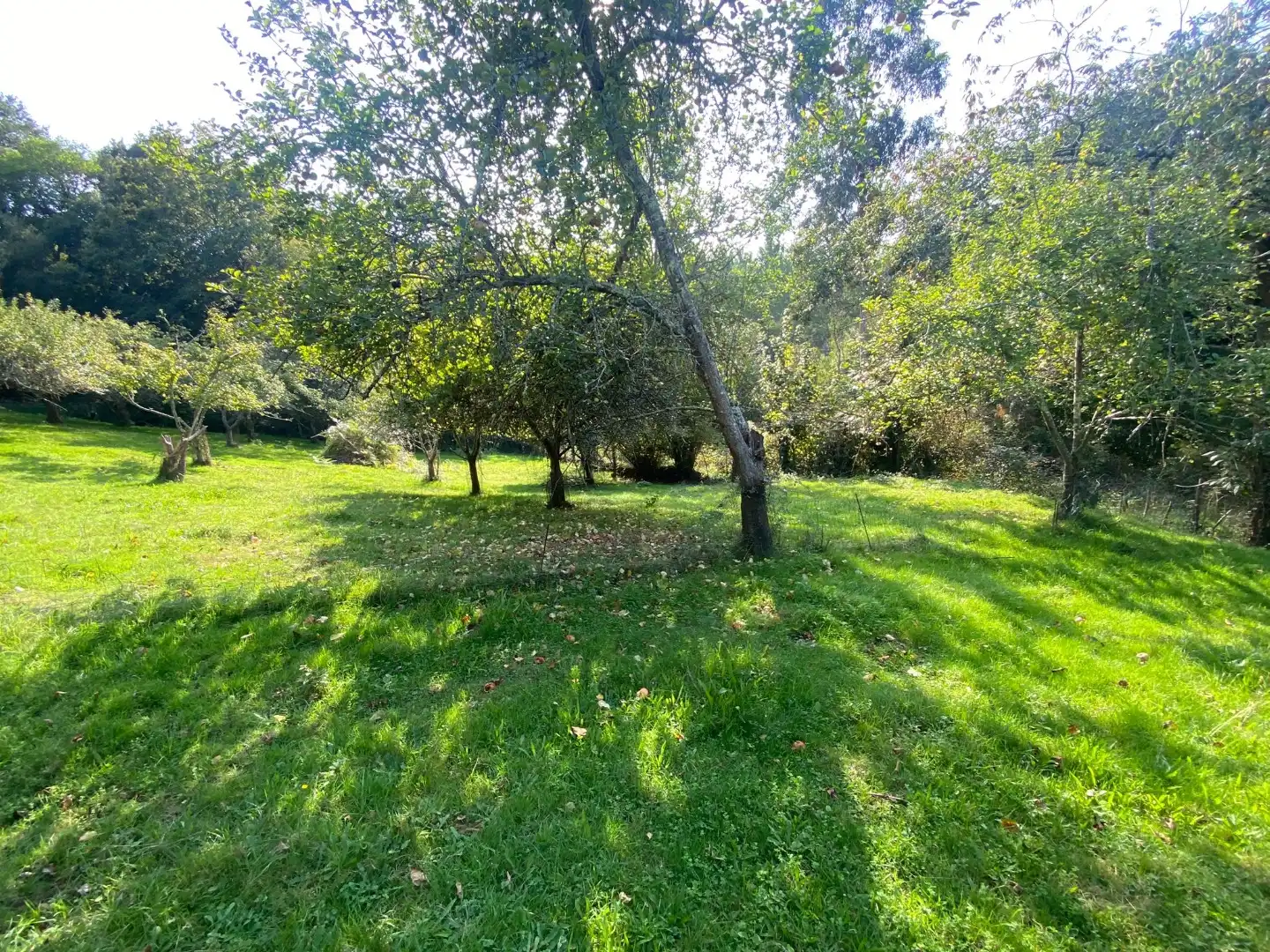 Piso en venta en Piloña
