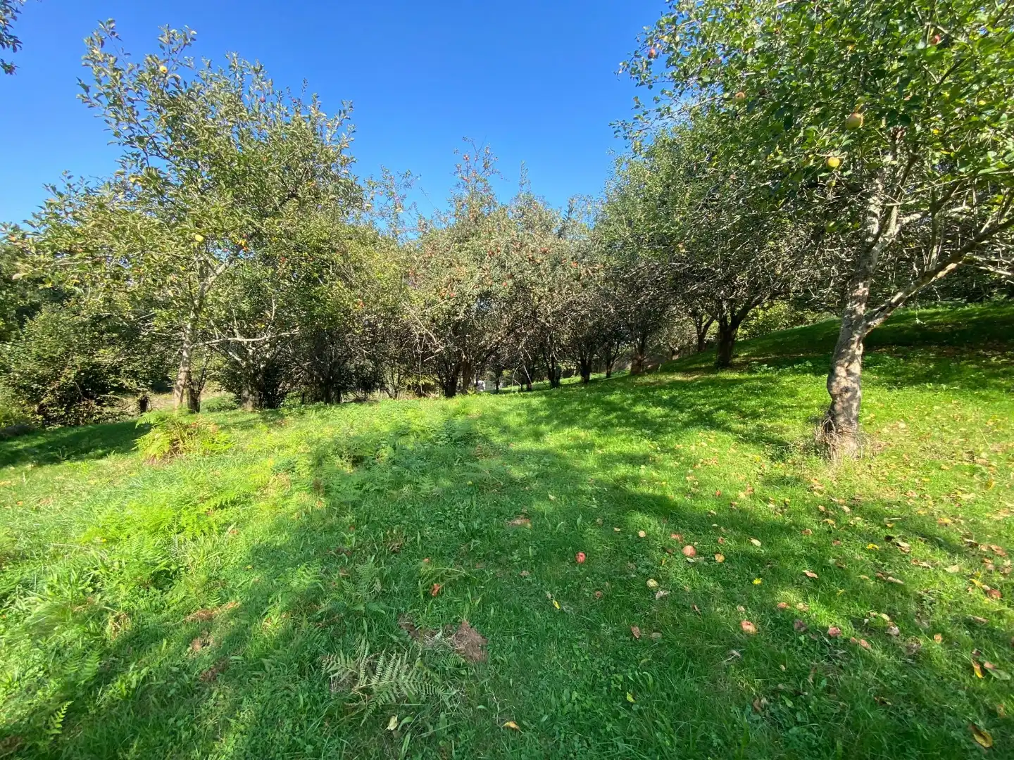Piso en venta en Piloña