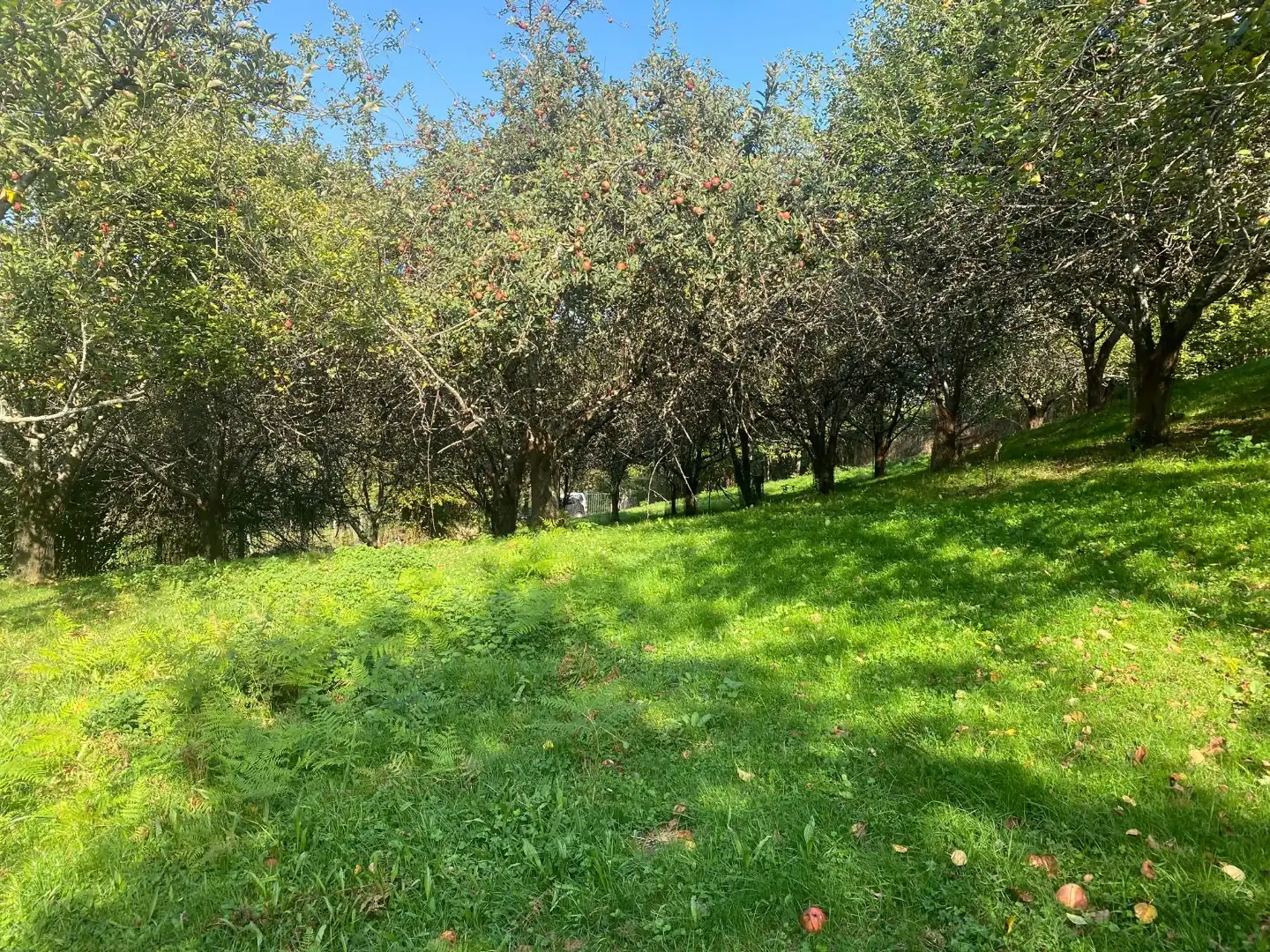Piso en venta en Piloña