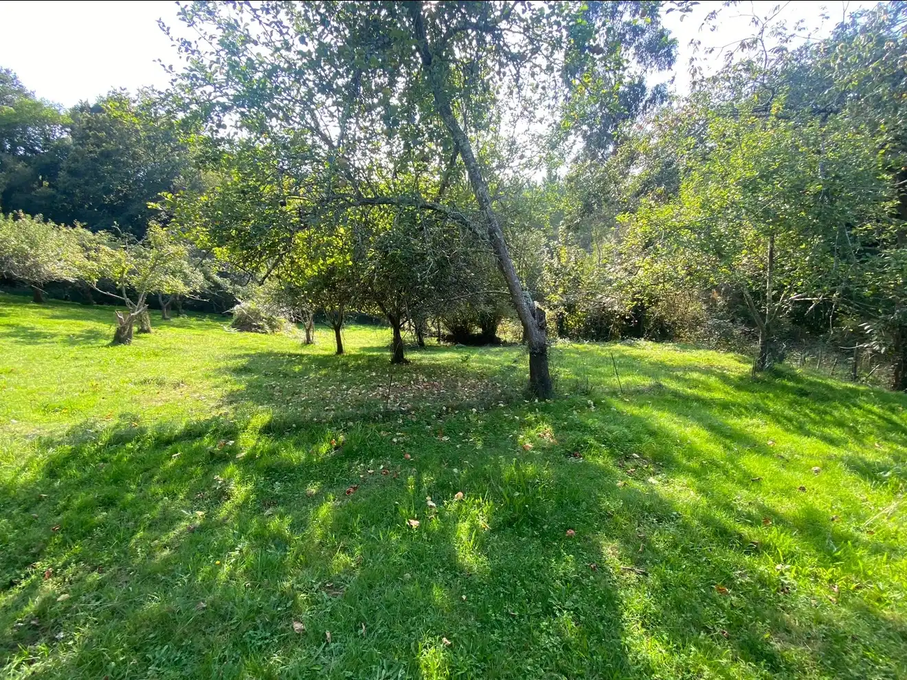 Piso en venta en Piloña