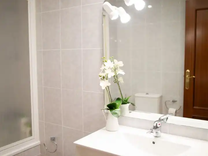 Room in Avinguda de l'Alcora, 164, Estación - Universidad Bathroom of Flat for share in Castellón de la Plana / Castelló de la Plana with Heating, Terrace and Furnished