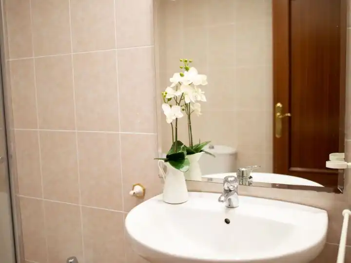 Room in Avinguda de l'Alcora, 164, Estación - Universidad Bathroom of Flat for share in Castellón de la Plana / Castelló de la Plana with Heating, Terrace and Furnished