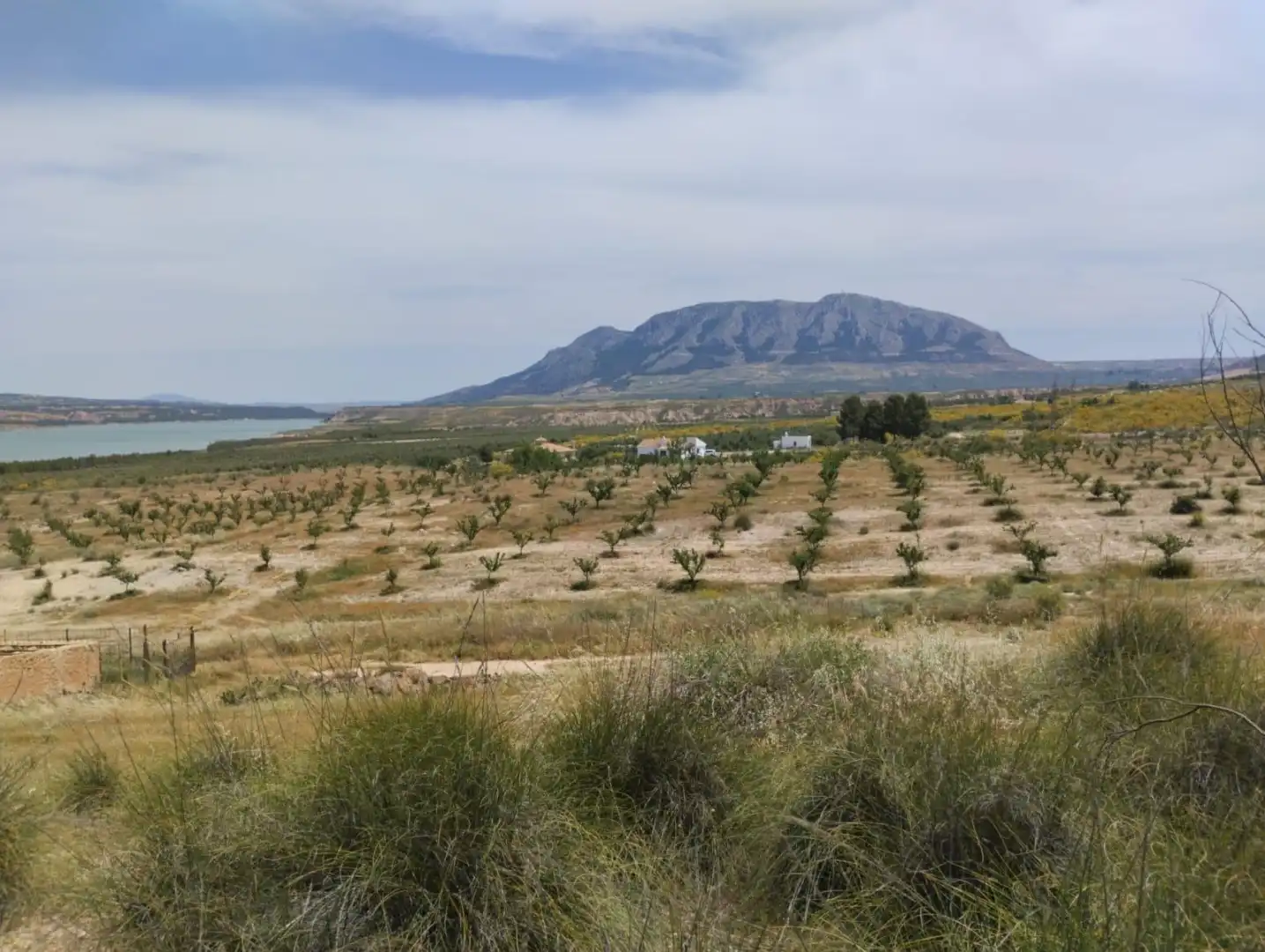Finca rústica en venta en Calle Adolfo Quiles Cervera, 15, Freila Finca rústica en venta en Calle Adolfo Quiles Cervera, 15, Freila