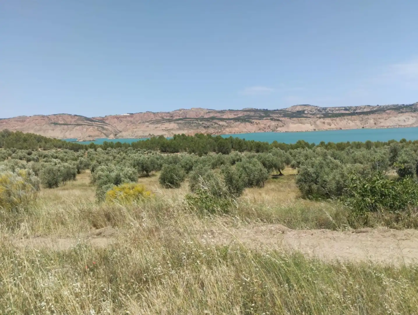 Finca rústica en venta en Calle Adolfo Quiles Cervera, 15, Freila Finca rústica en venta en Calle Adolfo Quiles Cervera, 15, Freila