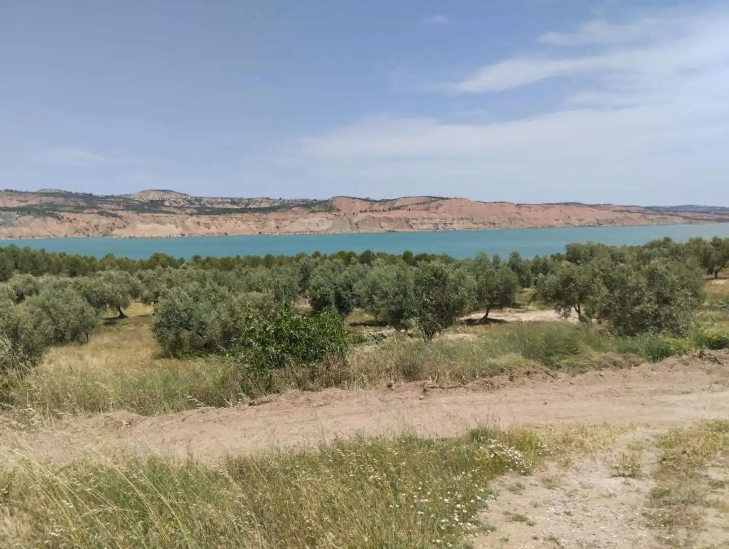 Finca rústica en venta en Calle Adolfo Quiles Cervera, 15, Freila Finca rústica en venta en Calle Adolfo Quiles Cervera, 15, Freila