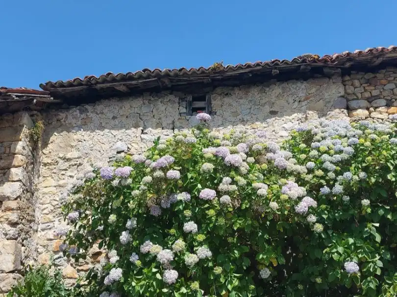 Vista exterior de Pis en venda en Colunga