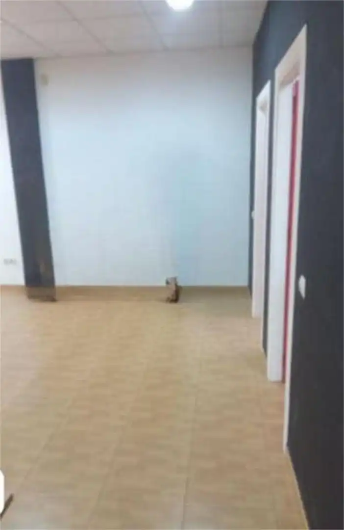 Commercial properties for rent in Las Torres de Cotillas Commercial properties for rent in Las Torres de Cotillas with Air Conditioner