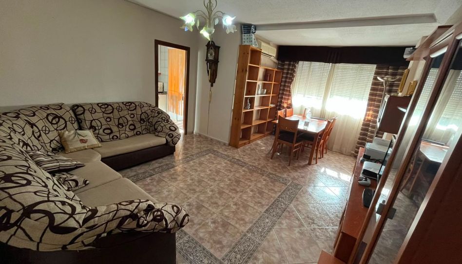Flat for rent in Calle Campo Madre de Dios, 12, Fuensanta- Arcángel, Córdoba Capital - image 1 Photo 1 of Flat for rent in Calle Campo Madre de Dios, 12, Fuensanta- Arcángel, Córdoba Capital