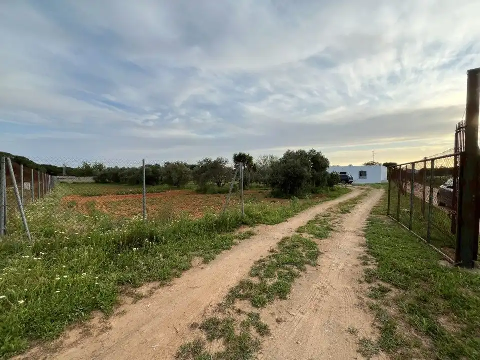 Country homes for sale in Puerto Real
