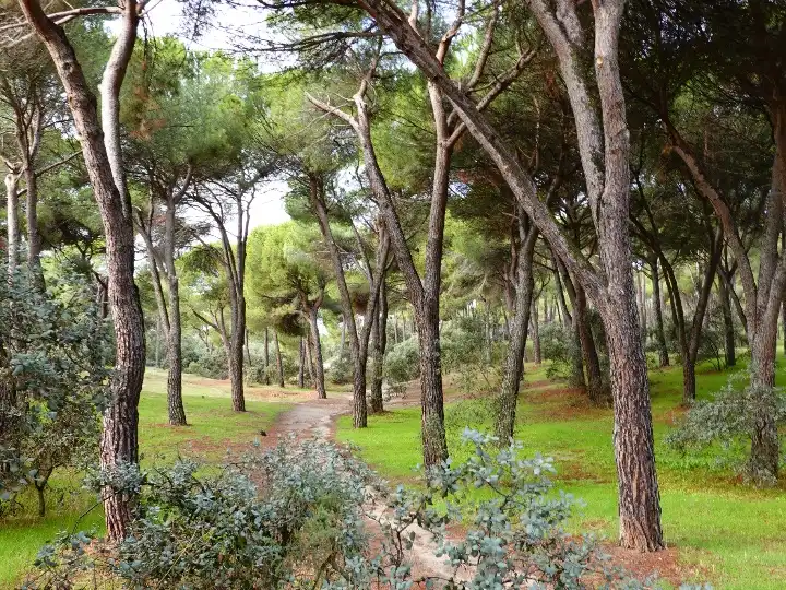 Pis en venda a Montecillo Jardí de Pis en venda en Las Rozas de Madrid amb Aire condicionat, Terrassa i Piscina